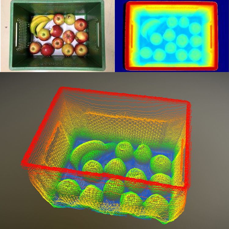 OEM Automatic se 3d bild på frukt
