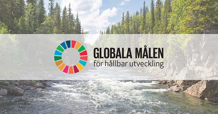 17 Globala målen