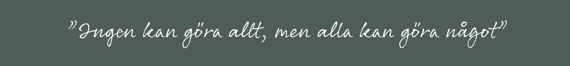 ingen kan göra allt, men alla kan göra något!